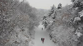 今冬首轮大范围雨雪即将上线 多地降水量或破同期历史极值