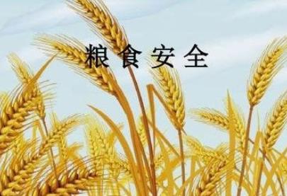 广东通报2019年度粮食安全责任考核结果，深圳等7地市获通报表扬