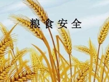 广东通报2019年度粮食安全责任考核结果，深圳等7地市获通报表扬