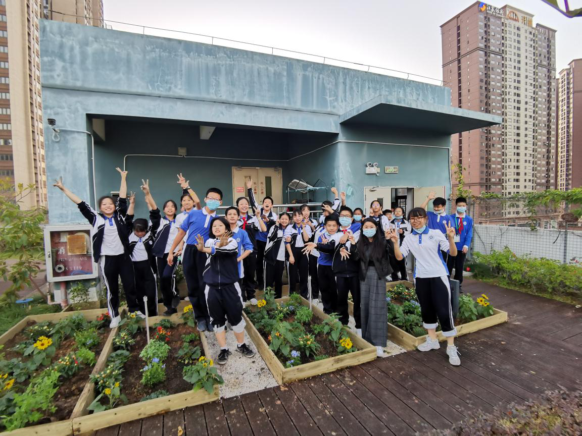 坪山区共建花园建造工作坊 属于师生们的“可食花园”