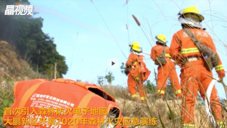 首次引入森林防火电子地图，大鹏新区开展2020年森林火灾应急演练