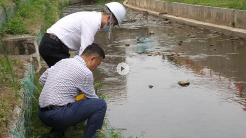 答好“河长制”这份民生答卷！清水河喊你来看看水清岸绿新画卷！