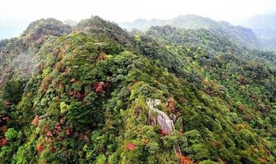 广东省政府召开全省自然保护地建设管理工作电视电话会议