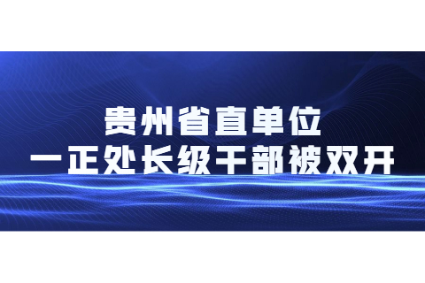 贵州省直单位一正处长级干部被双开
