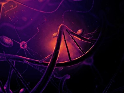 基因能限制我们的人生吗？