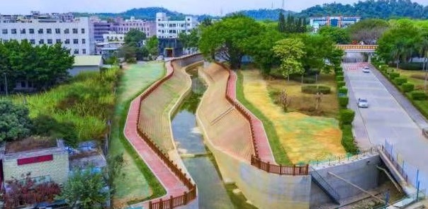 水污染治理 | 党建引领，建设水清岸绿美丽平湖