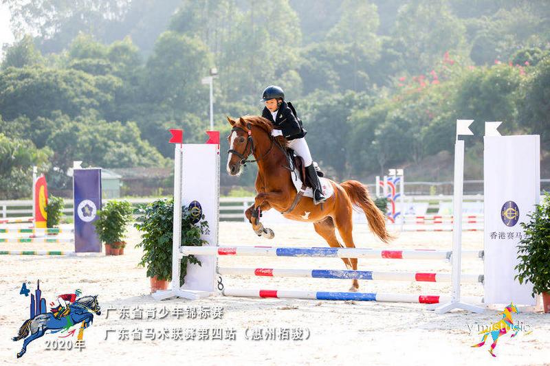 鹅城惠州马术盛会，深圳健儿夺3金1铜