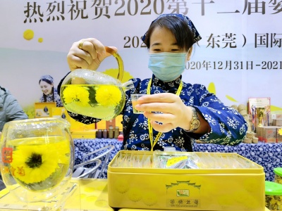 东莞茶博会开幕 全国69个名茶产区龙头品牌参展
