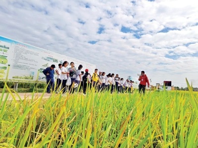 海纳现代农业生态园成标杆 一粒米牵出一条绿色产业链
