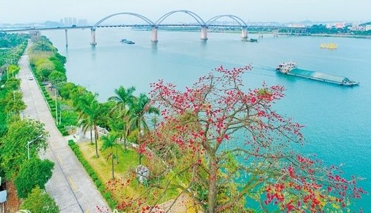 先行探索创新机制全域治水构建“水美侨乡”！“江门经验”变“河长制”为“河长治”
