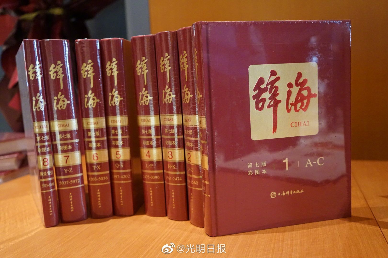 解密新版《辞海》：首次收录微博、5G等词，可在移动端使用