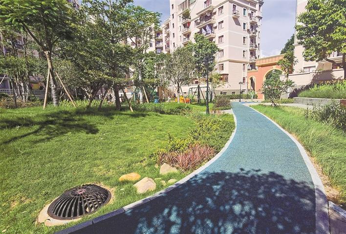 福田区斩获4项深圳市海绵城市建设大奖，获奖数量和类别位列各区之首