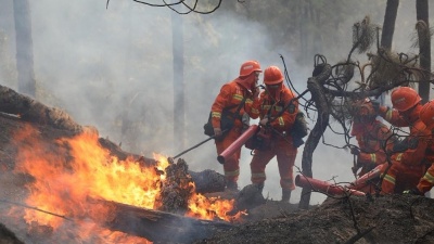 凉山州西昌市“3·30”森林火灾事件调查结果公布