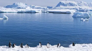 致敬2021｜这四位南极归来的深圳女科学家有话要说