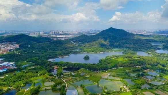 厉害了！广州这座700多年历史古村获评“广东省文明村”称号