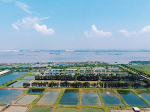 首届中国水产种业博览会在广州南沙举办  参展企业超过300家