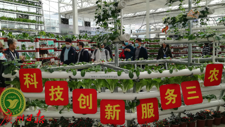 广东种业博览会广州开幕：近距离触摸数字农业的脉搏
