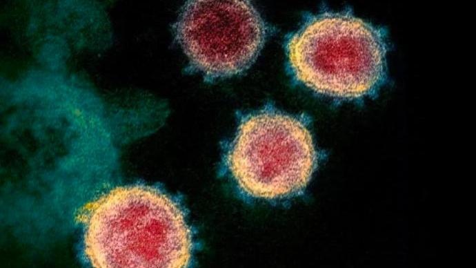 世卫组织证实：多国确认出现变异新冠病毒相关确诊病例