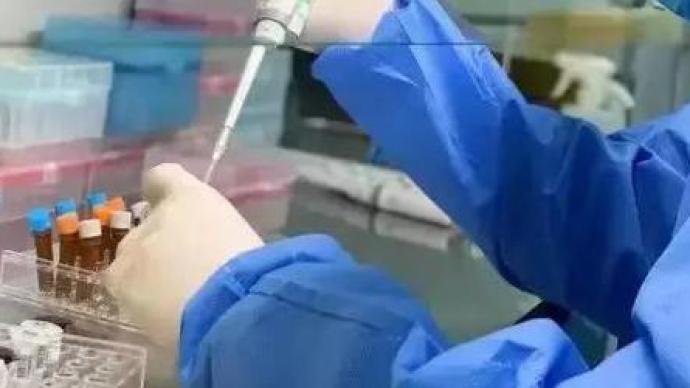 成都9日确诊病例为境外输入复阳，其病毒株与本地有显著差异