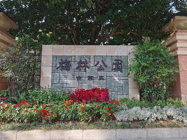 视频 | 在梅林公园，深深深呼吸