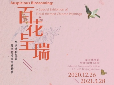 看展 | 南京博物院藏历代花鸟画迎春特展：勾勒出半部中国花鸟画史