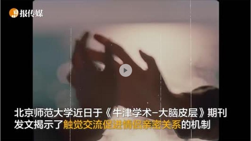 情侣吵架后做这动作，可加快复合！ 实验发现触觉可促进脑功能活动同步