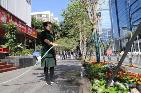 中康路上花漾绿道惹人爱，共建理念暖人心