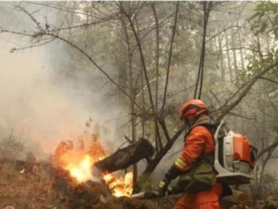 云南香格里拉森林火灾：西北线明火基本扑灭，火情被有效控制