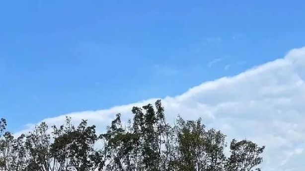 周末又要降温，最低气温10℃左右！