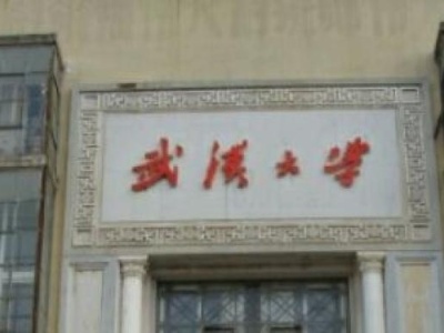 武汉大学就业报告：选择考公务员、选调生等人数大幅增加