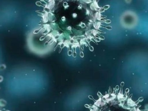 德国证实出现首例变异新冠病毒感染病例