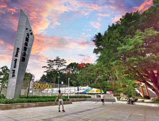 大浪街道市容环境上新台阶，城区面貌更靓丽