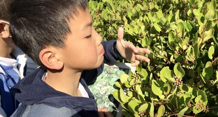 特别的新春关爱！大鹏自然课堂2021“首课”开讲