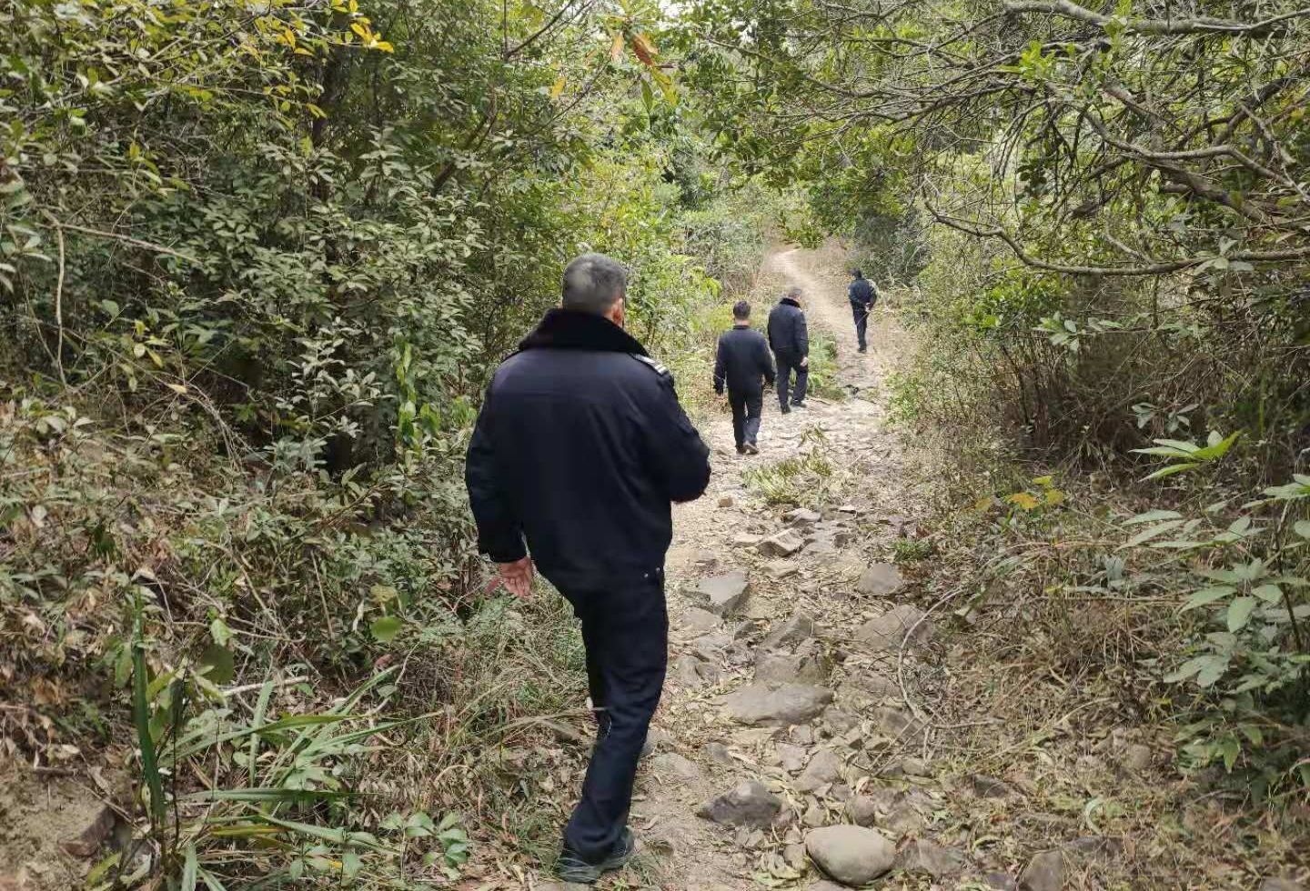 林区焚烧垃圾违法！葵涌开出今年森林防火期内首张罚单