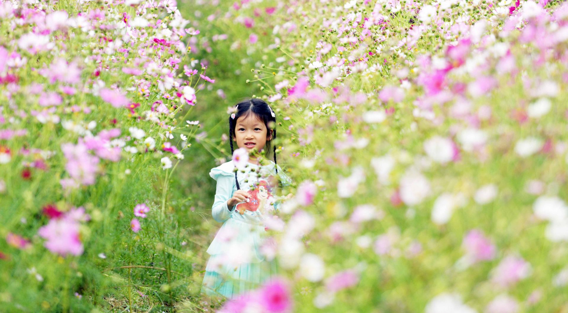 广东：遇重污染天气，中小学、幼儿园可临时停课