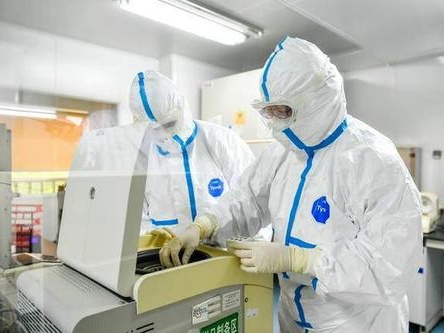 山东平度2例感染者病毒序列与当前黑龙江省的流行株同源性达99.99%