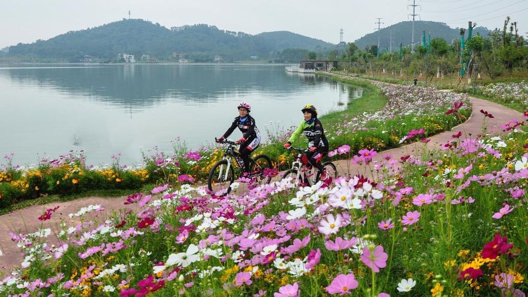 一横两纵多节点，增城碧水漫道成网红打卡点