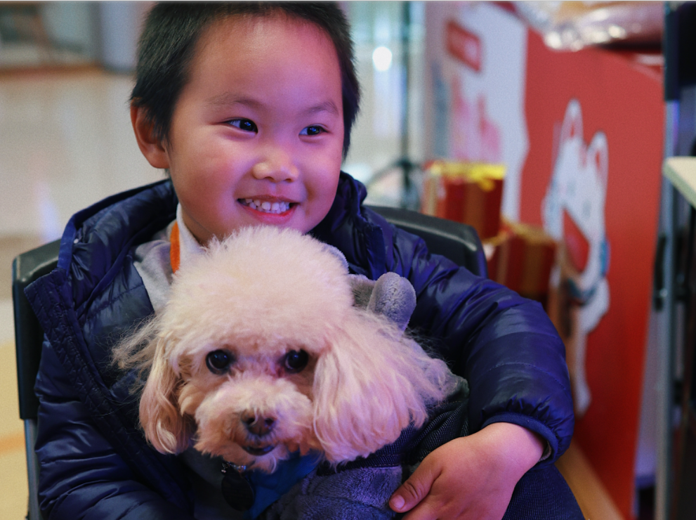 “狗狗教授”新年出勤，第一站这样玩