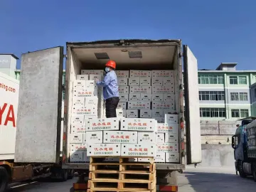 春节期间深圳每天8000吨蔬菜投放市民“菜篮子”