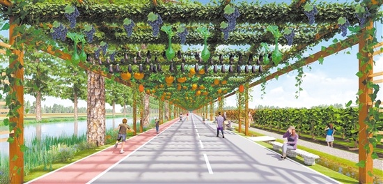 江门市江海区都市农业生态公园将于春节前亮相