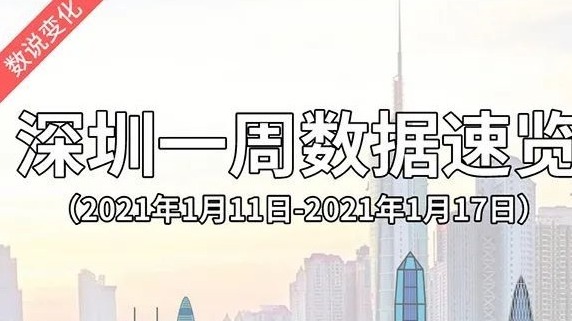 深圳一周｜留下来吧，让我们一起感受在深圳过年之美