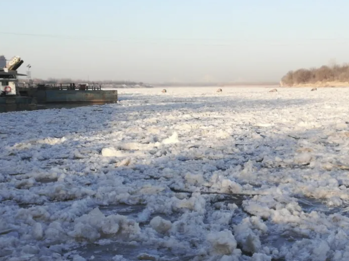 黄河出现罕见大面积封河 满满冰凌纹丝不动