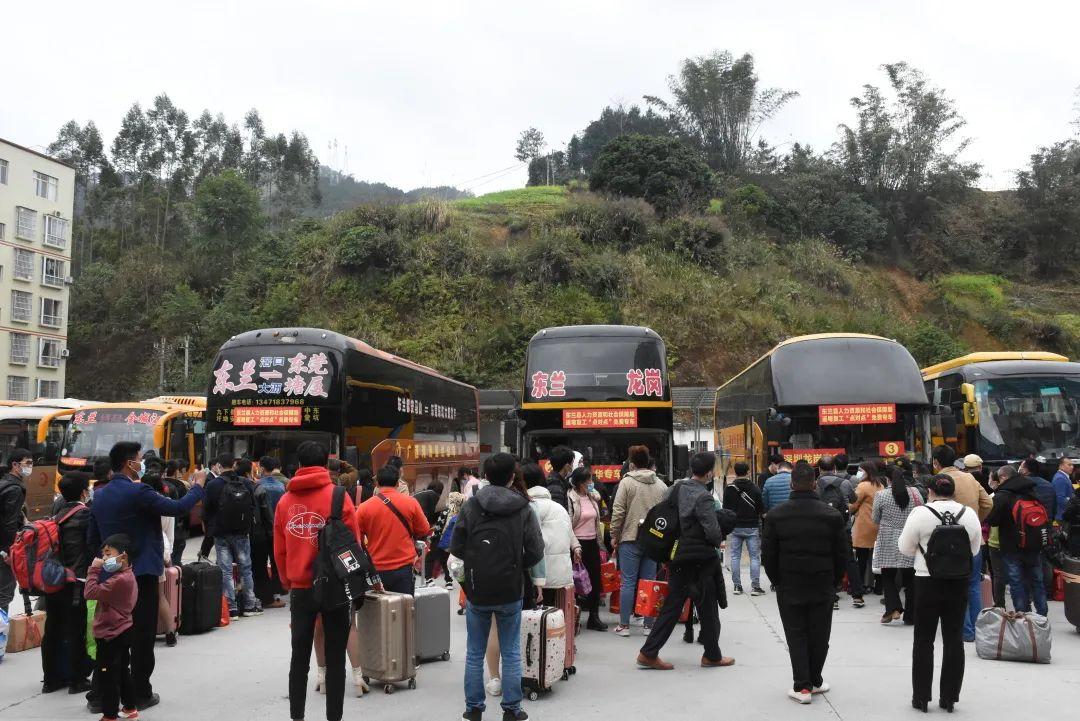723辆“点对点”专车免费接广西老乡赴粤返工，超3成来深圳就业