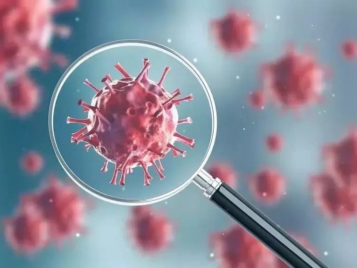新华时评：新冠病毒溯源应在更多国家展开