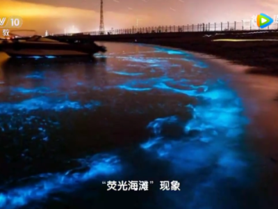 惠州双月湾惊现“蓝眼泪”奇观 近期可能还会出现