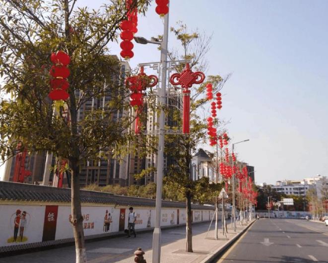 新春赏花好去处，浓浓年味在石岩