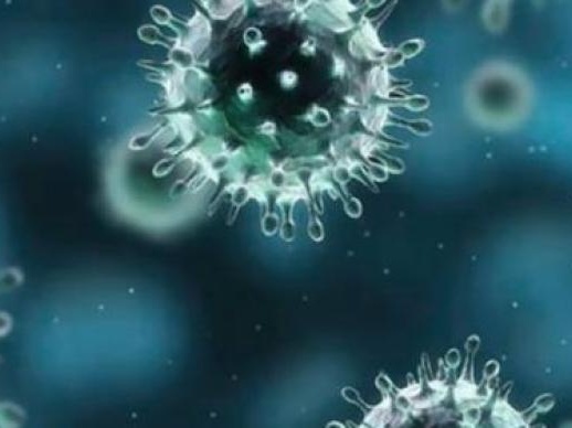 世卫组织：80个国家和地区已出现英国发现的新冠病毒变异株