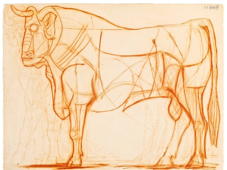 毕加索与牛：走过的路，会连线成一只“弥诺陶洛斯”