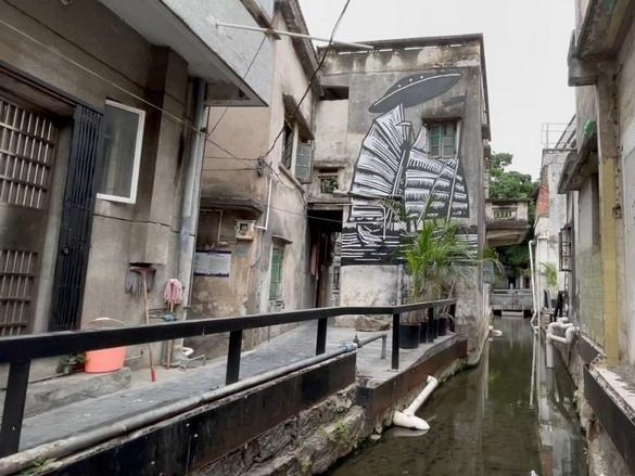 昔日“臭水沟”华丽变身打卡景点！背后的治水“秘笈”是……