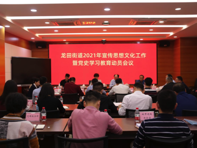 龙田街道召开2021年宣传思想文化工作暨党史学习教育动员会议